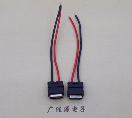 江苏type c2p防水母座焊线式带线注塑成型带接线端子/不带接线端子充电连接器