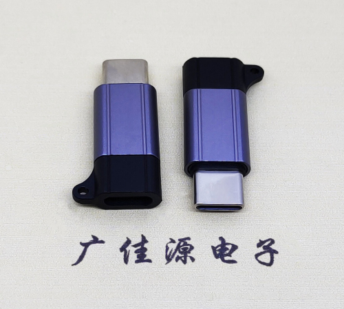 江苏Type-C母转Type-C公 USB3.1 PD100W快冲接口